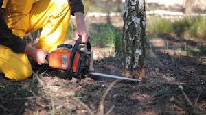 Best Aeration Services  in Elkhorn City, KY