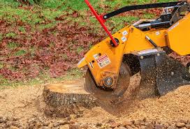 Best Emergency Tree Removal  in Elkhorn City, KY