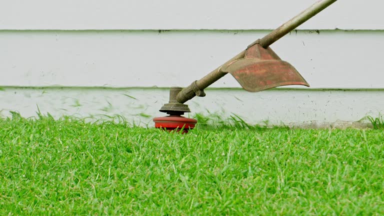 Best Leaf Removal  in Elkhorn City, KY